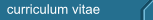 curriculum vitae